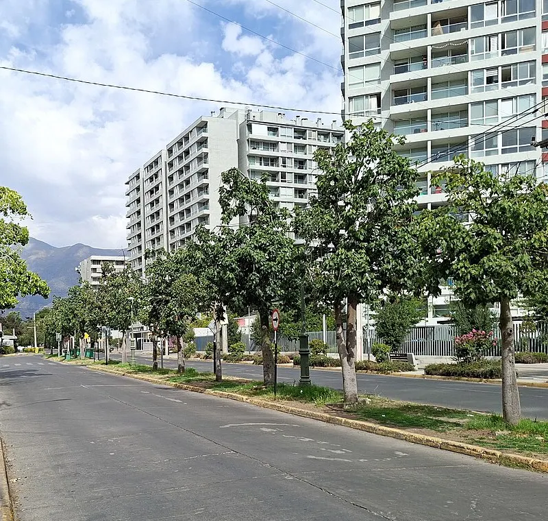 Avenida Quilín arbolada con edificios residenciales y la cordillera, Macul