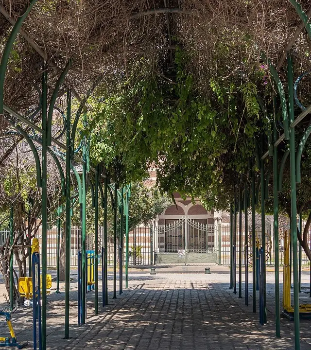 Paseo arbolado en Plaza Ñuñoa